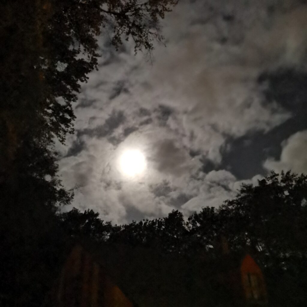 Volle maan 8 november